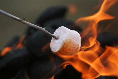 Pleasant time marshmallow magic